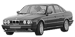 BMW E34 P2519 Fault Code